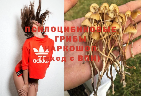 стафф Алексеевка
