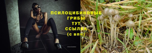 гидропоника Алексин